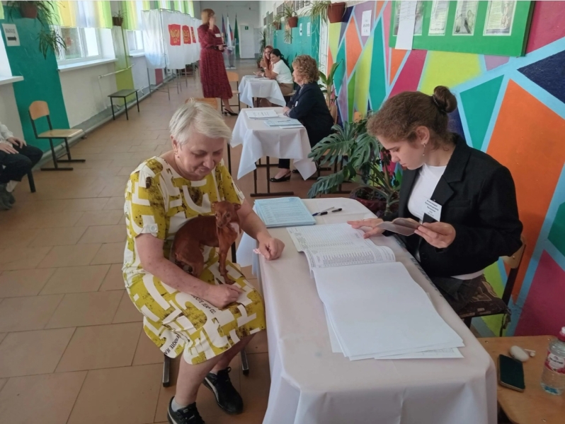 Голосование на муниципальных выборах в Апшеронском районе..